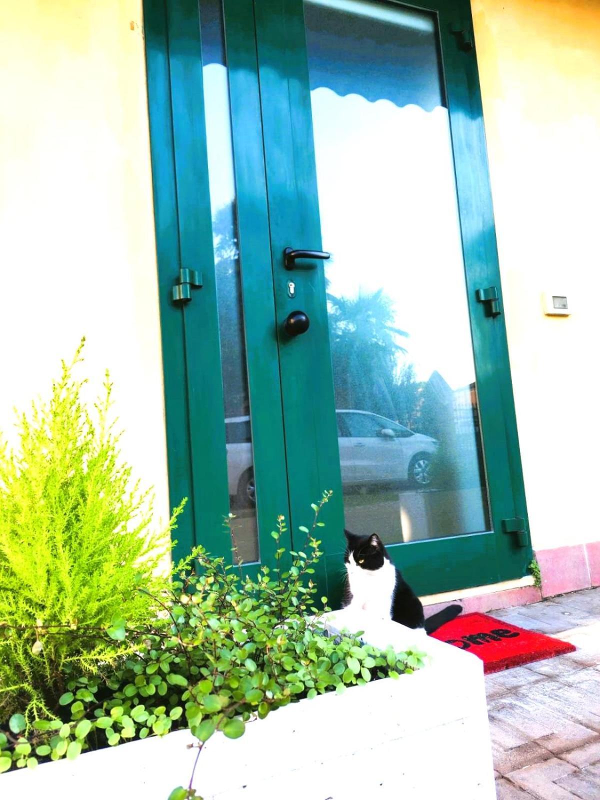 Il Sorriso: Private Ground Floor Apartment Lugo  Exterior photo